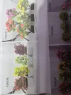 Bonsai Specification image